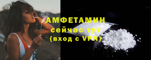2c-b Горняк