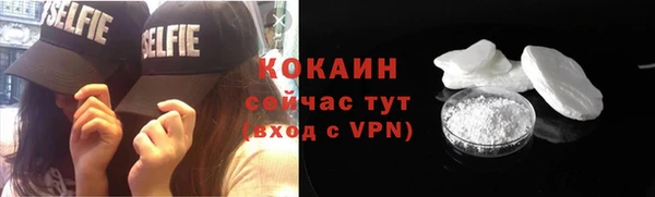 дмт Гусев