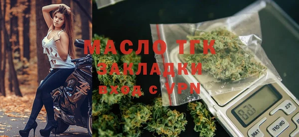 2c-b Горняк